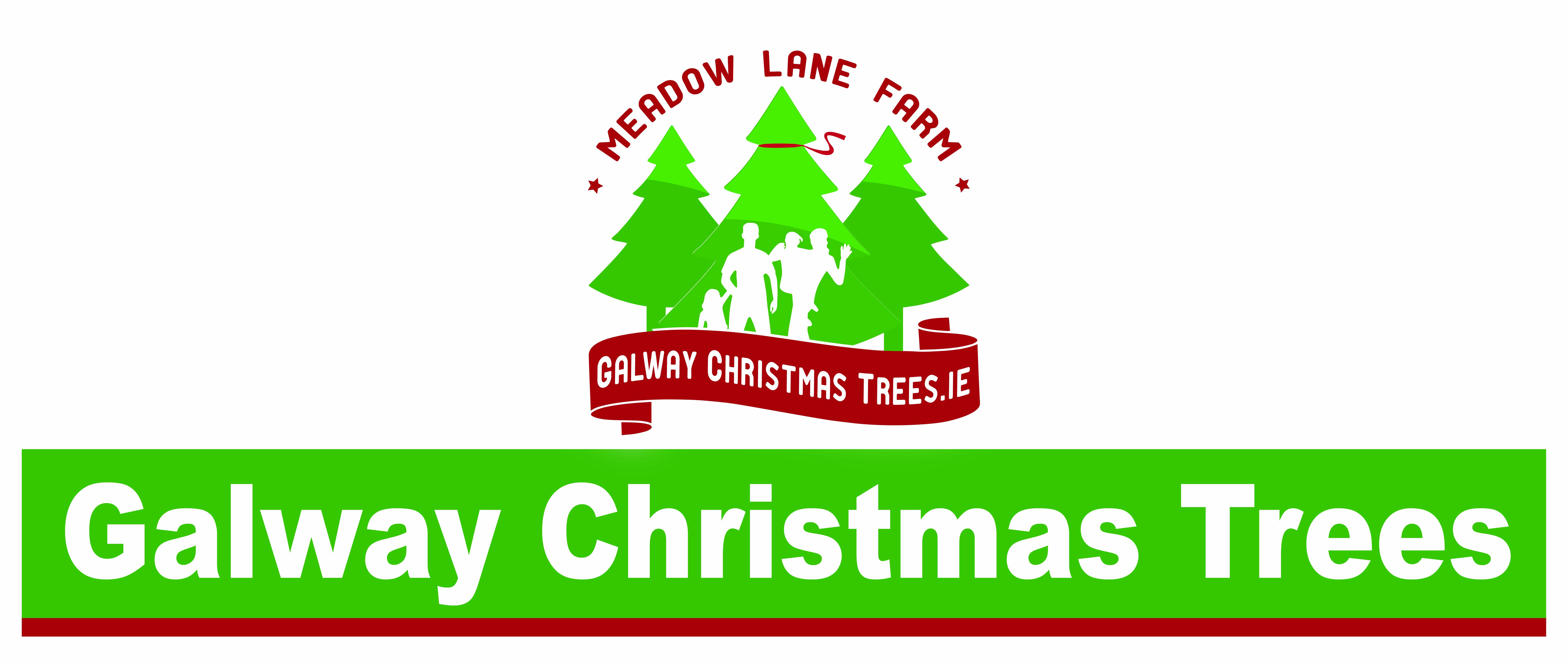 Galway Christmas Tree's